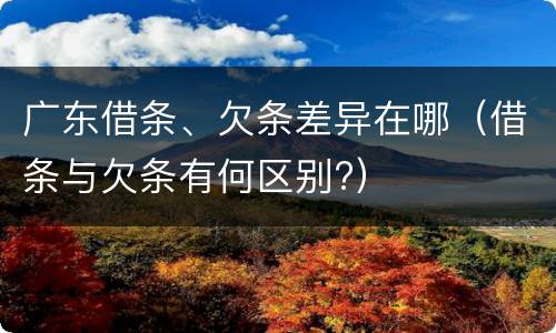 广东借条、欠条差异在哪（借条与欠条有何区别?）