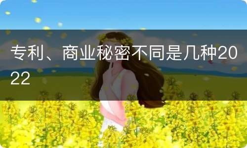 专利、商业秘密不同是几种2022