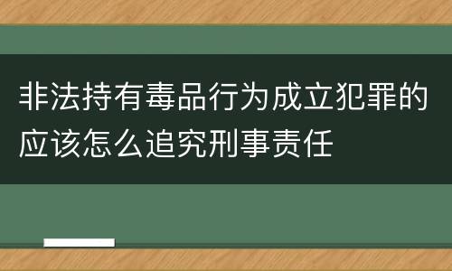 非法持有毒品行为成立犯罪的应该怎么追究刑事责任