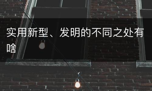 实用新型、发明的不同之处有啥