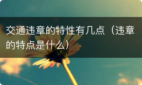 交通违章的特性有几点（违章的特点是什么）