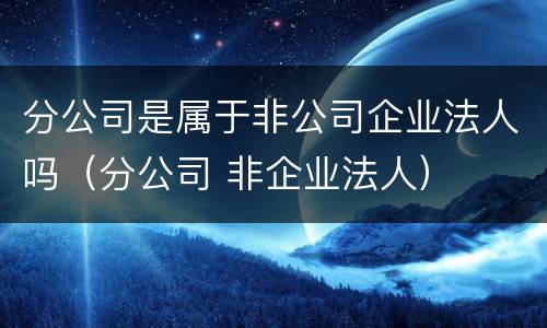 分公司是属于非公司企业法人吗（分公司 非企业法人）