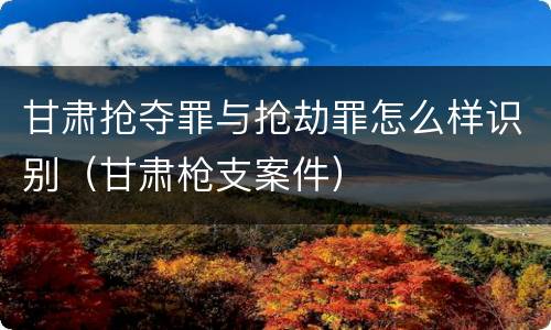 甘肃抢夺罪与抢劫罪怎么样识别（甘肃枪支案件）