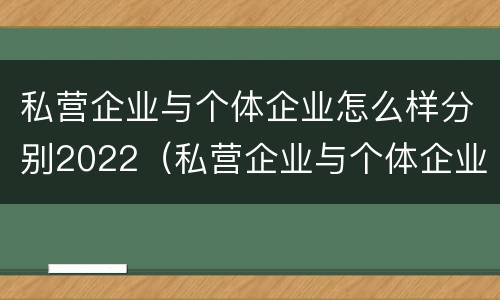 私营企业与个体企业怎么样分别2022（私营企业与个体企业的区别）
