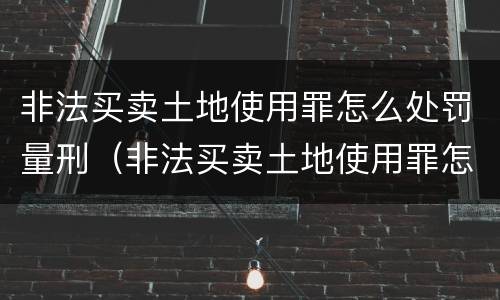 非法买卖土地使用罪怎么处罚量刑（非法买卖土地使用罪怎么处罚量刑多少）