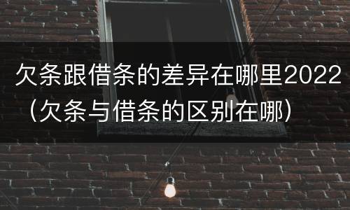 欠条跟借条的差异在哪里2022（欠条与借条的区别在哪）