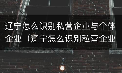 辽宁怎么识别私营企业与个体企业（辽宁怎么识别私营企业与个体企业的区别）