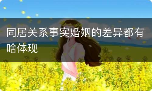 同居关系事实婚姻的差异都有啥体现