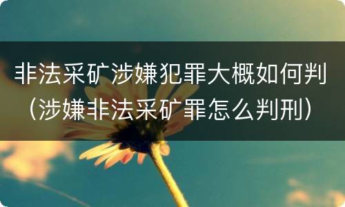 非法采矿涉嫌犯罪大概如何判（涉嫌非法采矿罪怎么判刑）