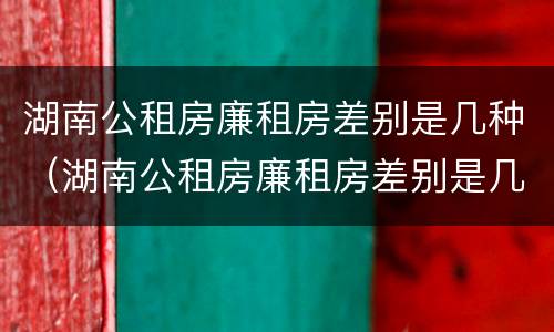 湖南公租房廉租房差别是几种（湖南公租房廉租房差别是几种吗）