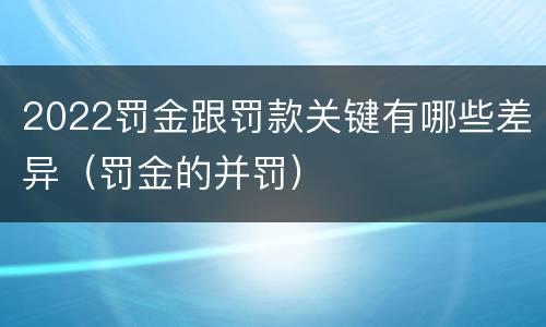 2022罚金跟罚款关键有哪些差异（罚金的并罚）