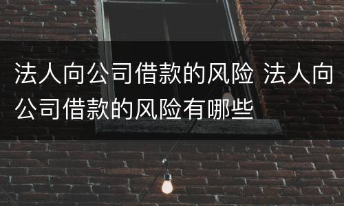 法人向公司借款的风险 法人向公司借款的风险有哪些