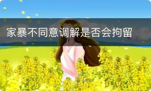 家暴不同意调解是否会拘留