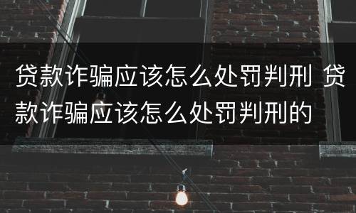 贷款诈骗应该怎么处罚判刑 贷款诈骗应该怎么处罚判刑的