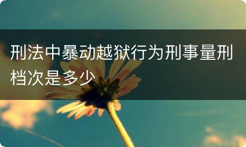 刑法中暴动越狱行为刑事量刑档次是多少