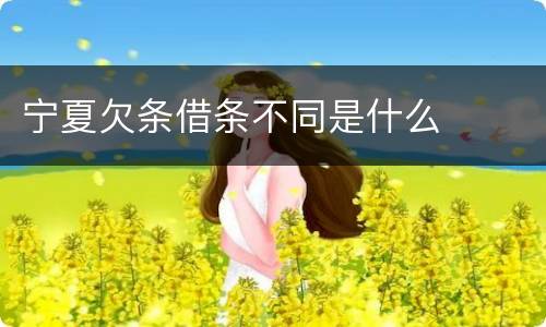 宁夏欠条借条不同是什么