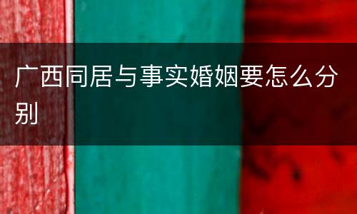 广西同居与事实婚姻要怎么分别