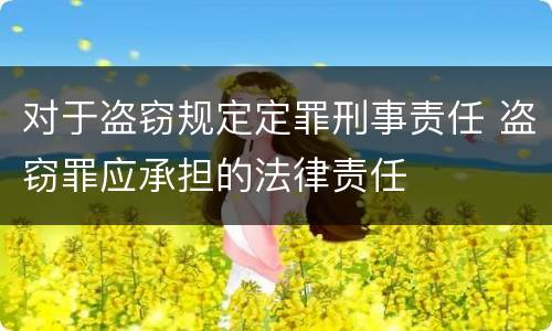 对于盗窃规定定罪刑事责任 盗窃罪应承担的法律责任