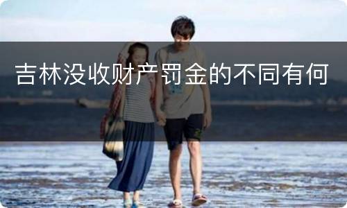 吉林没收财产罚金的不同有何