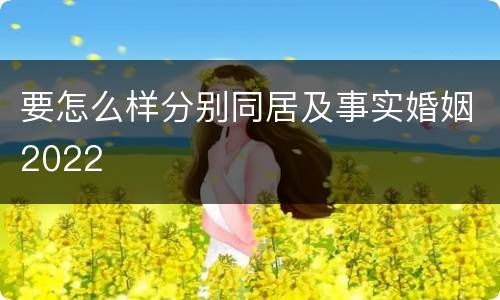 要怎么样分别同居及事实婚姻2022