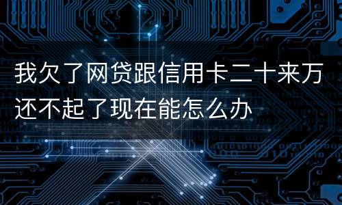 我欠了网贷跟信用卡二十来万还不起了现在能怎么办