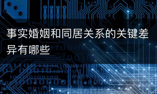 事实婚姻和同居关系的关键差异有哪些