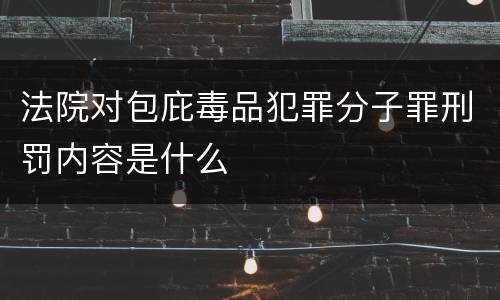 法院对包庇毒品犯罪分子罪刑罚内容是什么