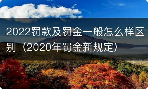 2022罚款及罚金一般怎么样区别（2020年罚金新规定）