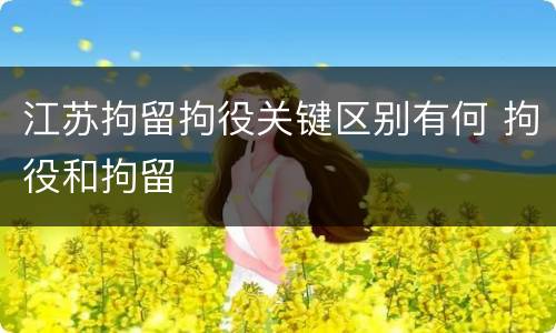 江苏拘留拘役关键区别有何 拘役和拘留