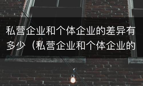 私营企业和个体企业的差异有多少（私营企业和个体企业的差异有多少种）
