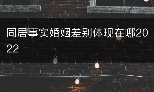 同居事实婚姻差别体现在哪2022