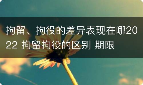 拘留、拘役的差异表现在哪2022 拘留拘役的区别 期限