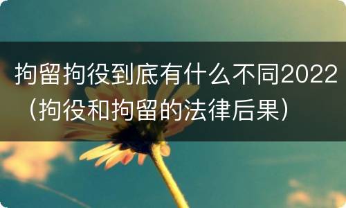 拘留拘役到底有什么不同2022（拘役和拘留的法律后果）