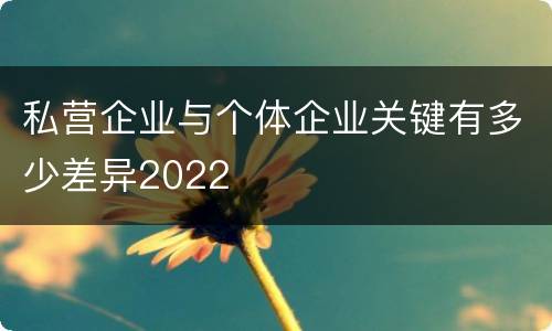 私营企业与个体企业关键有多少差异2022