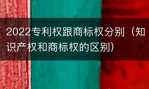 2022专利权跟商标权分别（知识产权和商标权的区别）