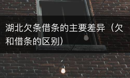 湖北欠条借条的主要差异（欠和借条的区别）