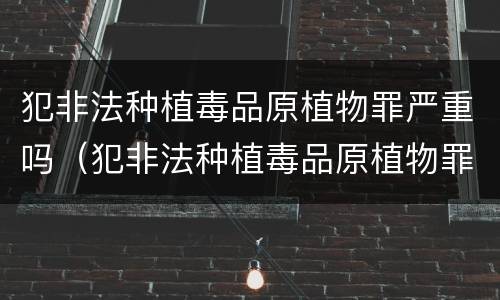 犯非法种植毒品原植物罪严重吗（犯非法种植毒品原植物罪严重吗判几年）