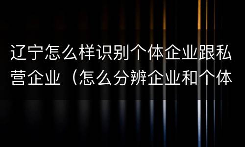 辽宁怎么样识别个体企业跟私营企业（怎么分辨企业和个体工商户）