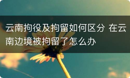 云南拘役及拘留如何区分 在云南边境被拘留了怎么办
