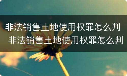 非法销售土地使用权罪怎么判 非法销售土地使用权罪怎么判的