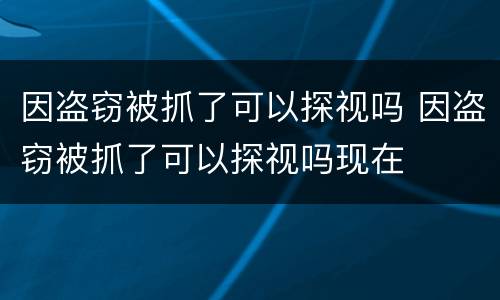因盗窃被抓了可以探视吗 因盗窃被抓了可以探视吗现在