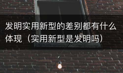 发明实用新型的差别都有什么体现（实用新型是发明吗）