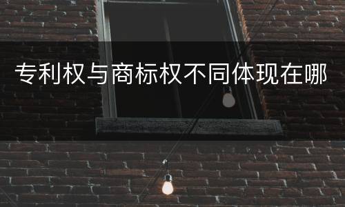 专利权与商标权不同体现在哪