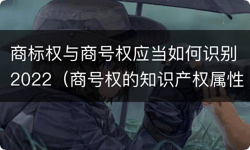 商标权与商号权应当如何识别2022（商号权的知识产权属性）