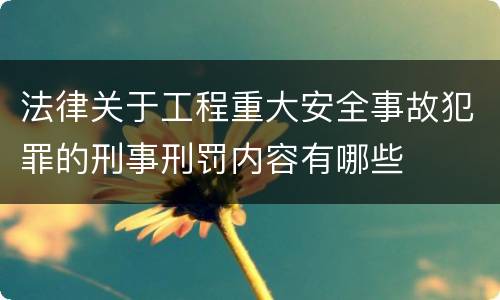 法律关于工程重大安全事故犯罪的刑事刑罚内容有哪些