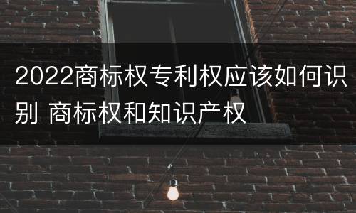 2022商标权专利权应该如何识别 商标权和知识产权
