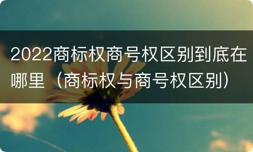 2022商标权商号权区别到底在哪里（商标权与商号权区别）