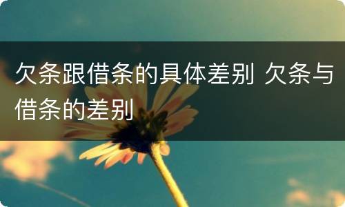 欠条跟借条的具体差别 欠条与借条的差别