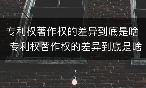 专利权著作权的差异到底是啥 专利权著作权的差异到底是啥呢
