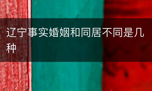 辽宁事实婚姻和同居不同是几种